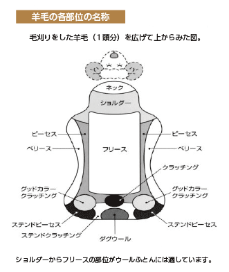 ウールふとんに使われるウール